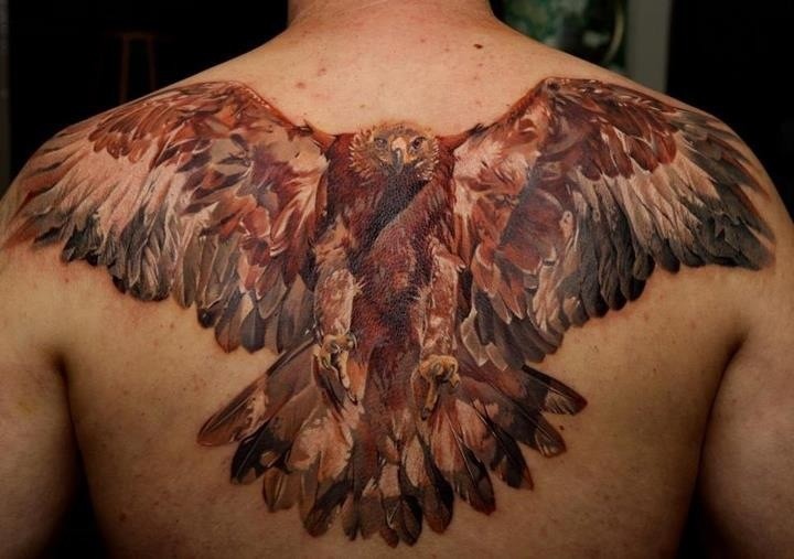 背部彩色飞行的鹰纹身图案