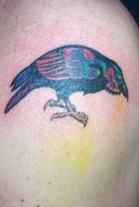 彩色的写实乌鸦纹身图案