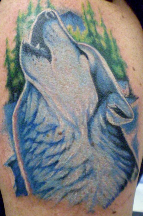 美丽的蓝色狼与树林纹身图案