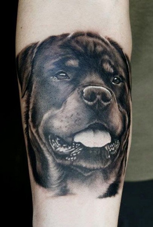 写实黑白的罗威纳犬头像手臂纹身图案