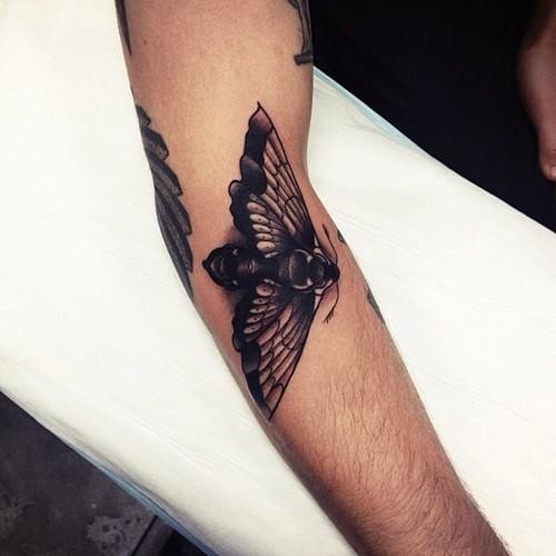 手臂可爱的飞蛾设计纹身图案