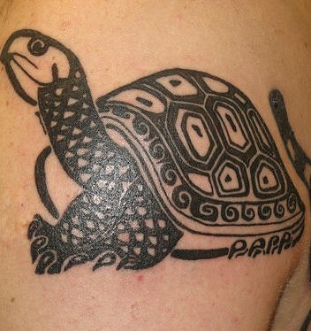 美丽的黑色乌龟图腾纹身图案