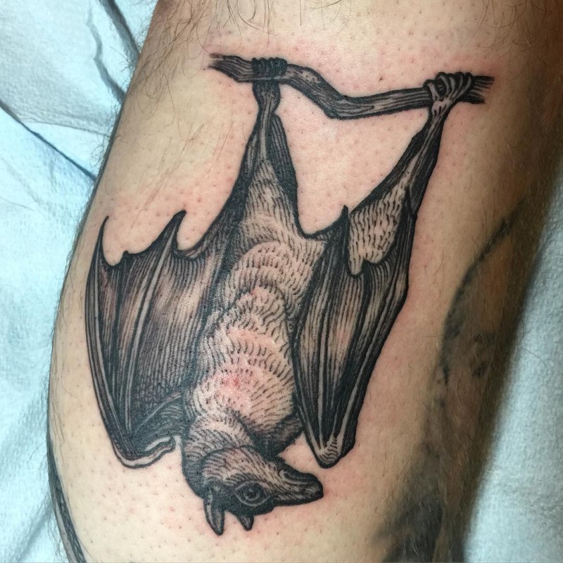 雕刻风格黑色的蝙蝠纹身图案