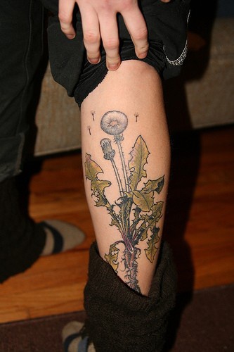 小腿美丽的植物蒲公英纹身图案