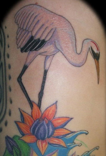 彩色睡莲与丹顶鹤纹身图案