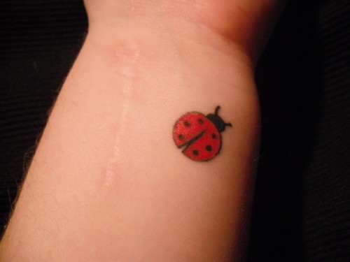 手臂上简单的红色瓢虫纹身图案