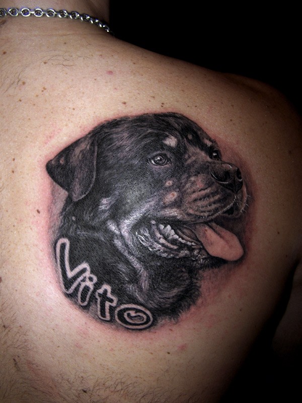 写实的黑色罗威纳犬头像背部纹身图案
