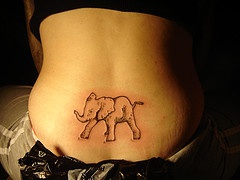 背部大象黑色线条纹身图案