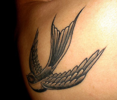 背部黑灰飞燕子精致的纹身图案