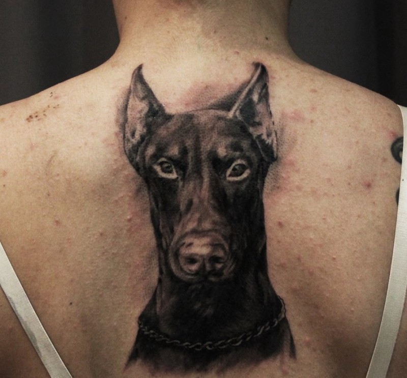 静静的杜宾犬头像背部纹身图案