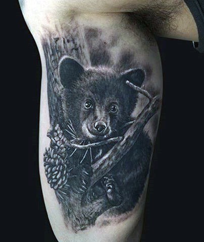 手臂可爱的小婴儿熊和松果纹身图案