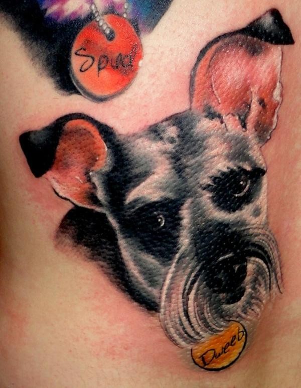 颜色漂亮的狗头像与字母纹身图案