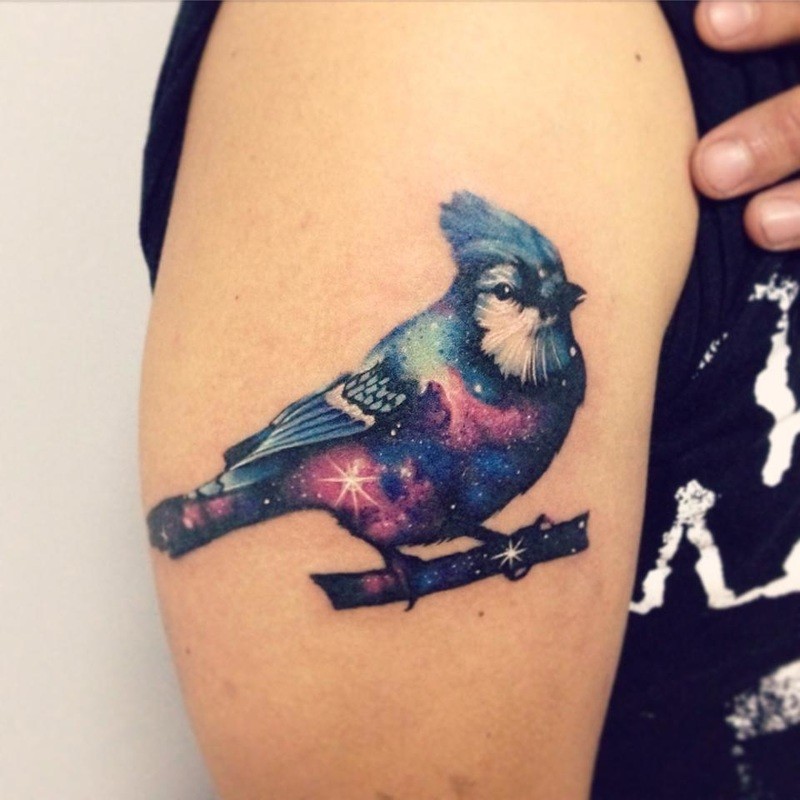 大臂难以置信的写实风格彩色星空小鸟纹身图案