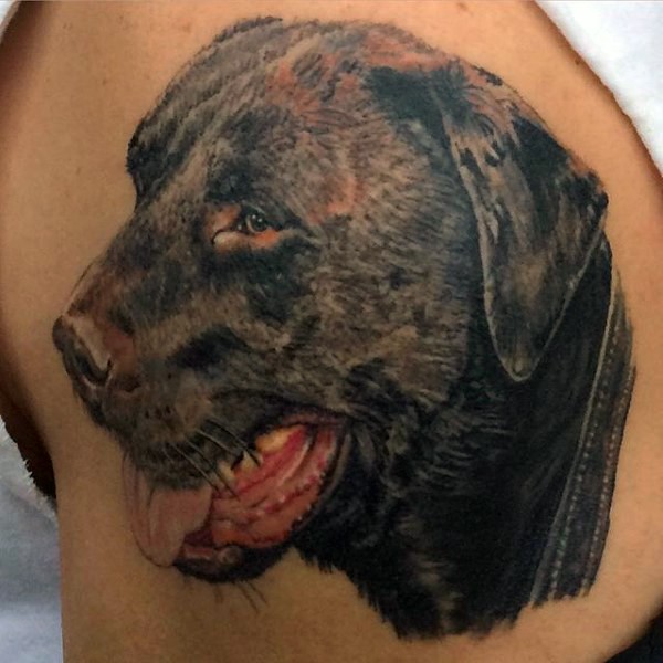 手臂彩色写实的可爱狗头像纹身图案