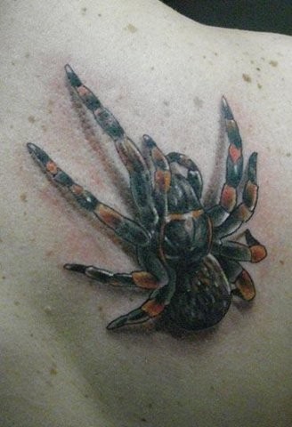 背部写实的3D蜘蛛纹身图案
