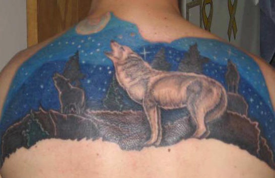 背部狼和夜晚的天空纹身图案