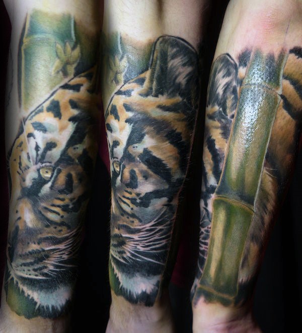 小臂传统写实的彩色老虎和竹子纹身图案