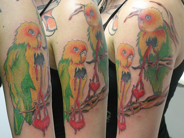 大臂彩色的鹦鹉和心形纹身图案
