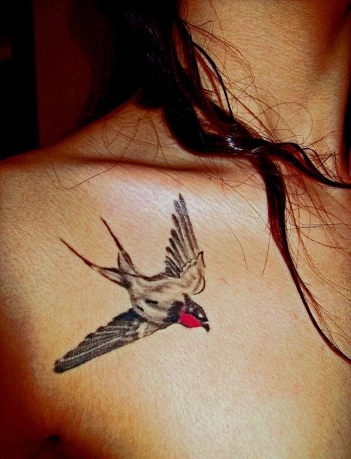 胸部写实的燕子个性纹身图案