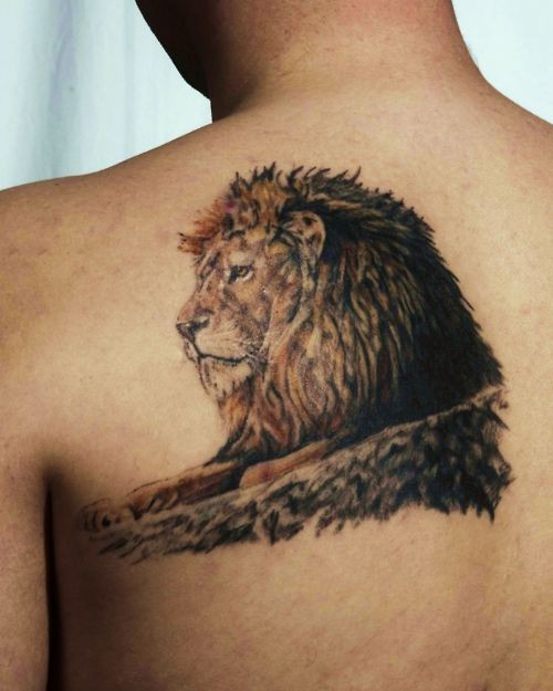 背部写实的狮子头像纹身图案