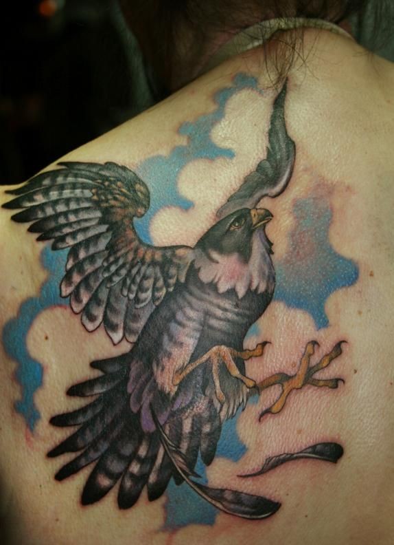 背部精彩的猎鹰纹身图案