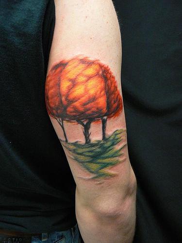手臂彩色唯美的枫树纹身图案