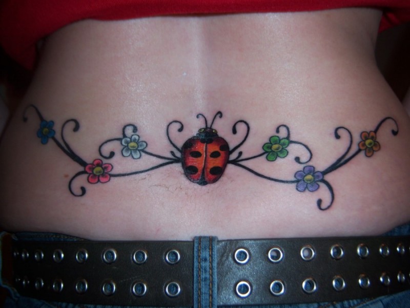 背部瓢虫和花朵藤蔓彩色纹身图案