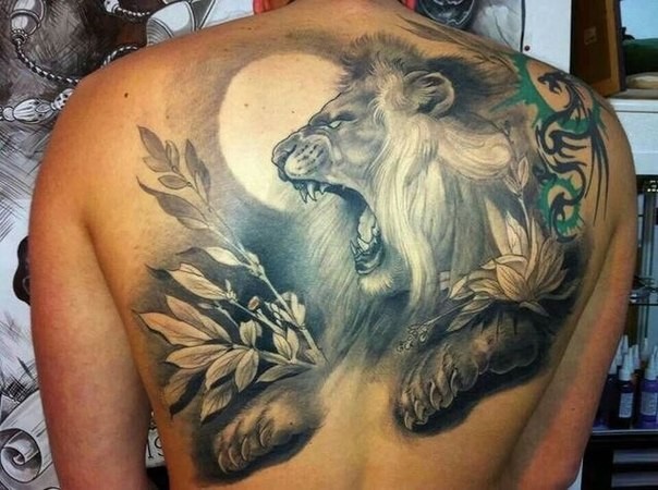 背部黑灰风格吼叫的狮子和花朵纹身图案