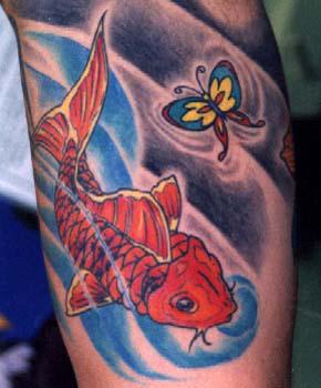 彩色的蝴蝶和锦鲤鱼纹身图案