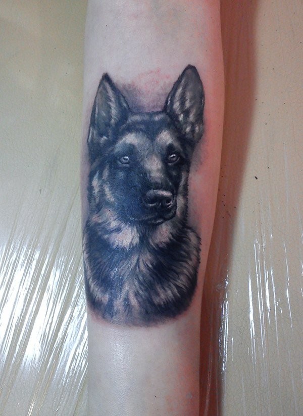 手臂黑灰德国牧羊犬纹身图案