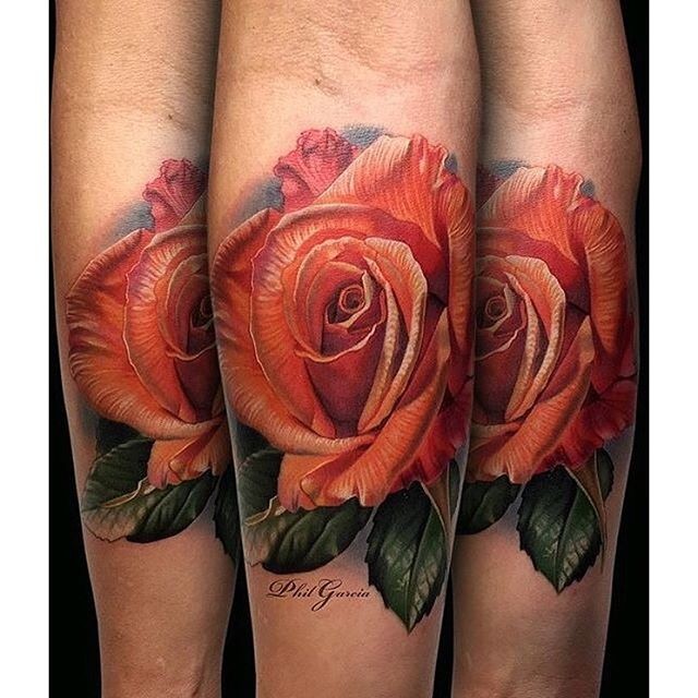 小臂天然逼真的漂亮红色玫瑰纹身图案