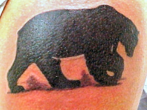 黑色的熊剪影纹身图案