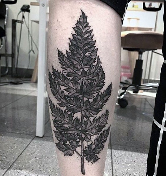 小腿超级逼真的蕨类树叶纹身图案