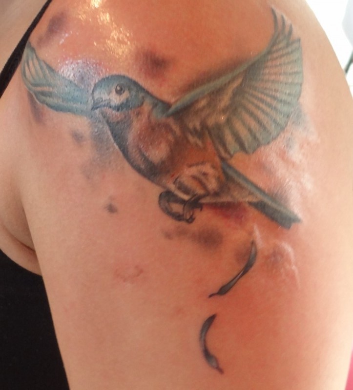 大臂美丽的七彩鸟纹身图案