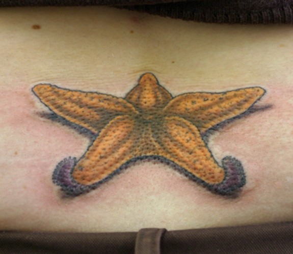 背部黄色躺下的海星纹身图案