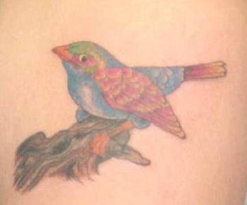 写实逼真的小鸟与树枝纹身图案