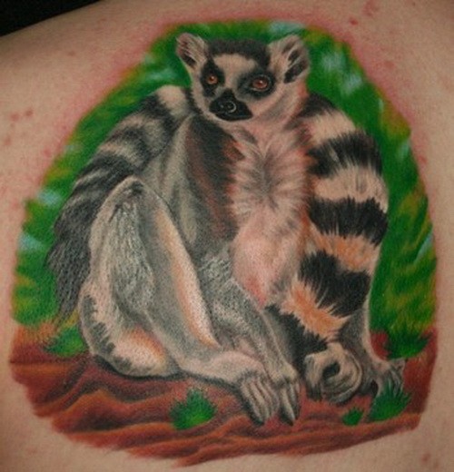 背部写实的丰富多彩狐猴纹身图案