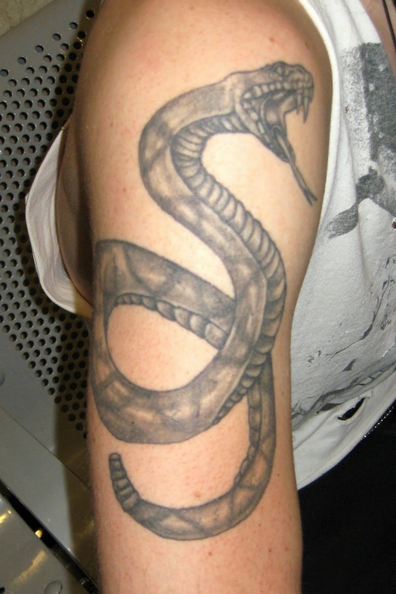 手臂上的黑灰蛇纹身图案