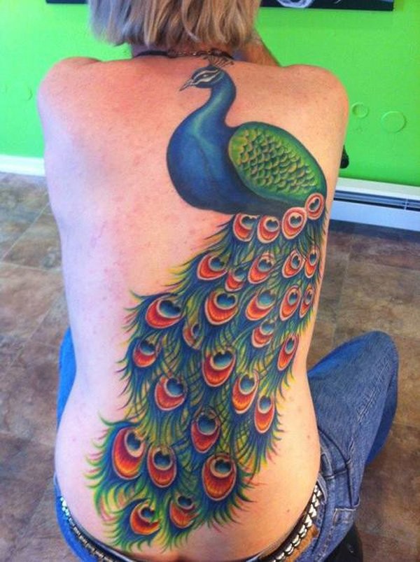 女生背部惊人的彩色美丽孔雀纹身图案