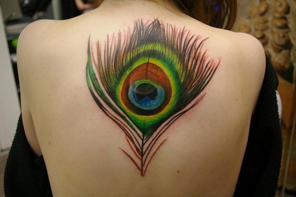 背部漂亮的彩色孔雀羽毛纹身图案