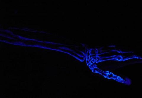 手臂荧光的骨骼纹身图案