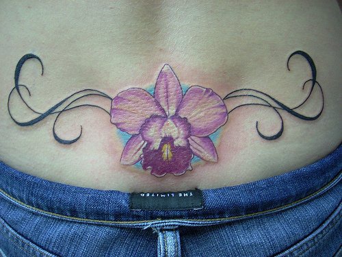 腰部漂亮的蝴蝶兰与藤蔓纹身图案