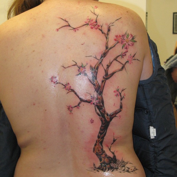 背部好看的日本花卉樱花树纹身图案