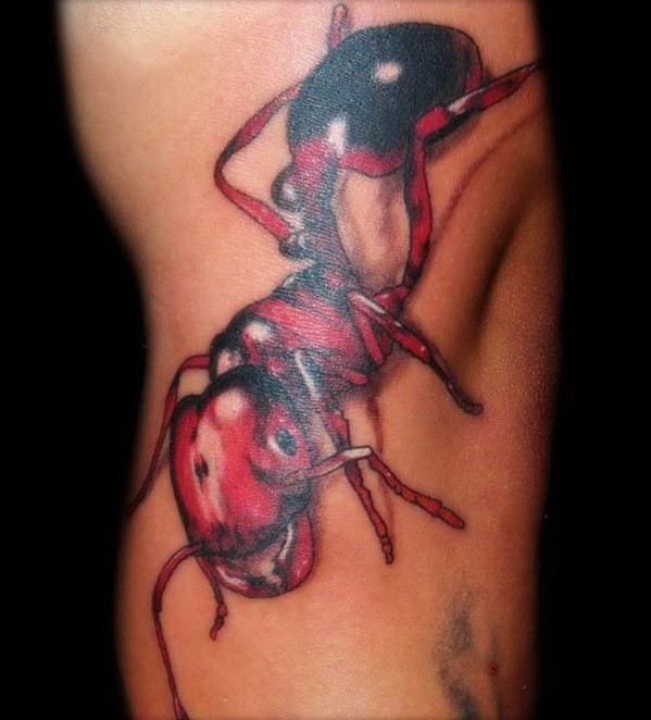 腿部逼真的红色和黑色蚂蚁纹身图案