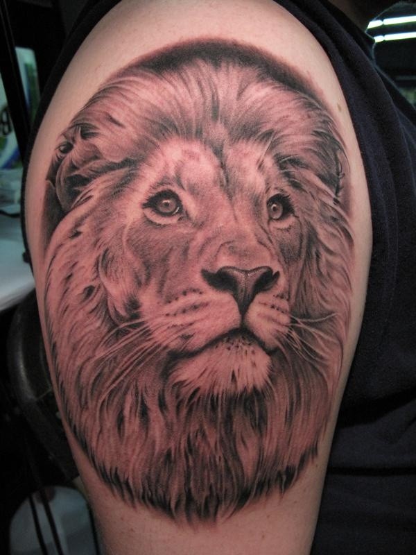 手臂上的精美狮子头像纹身图案