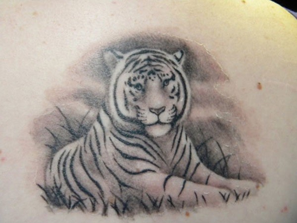 自然看起来非常逼真的白虎纹身图案