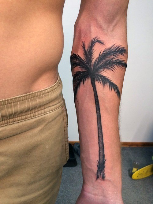 手臂精美的黑色写实棕榈树纹身图案