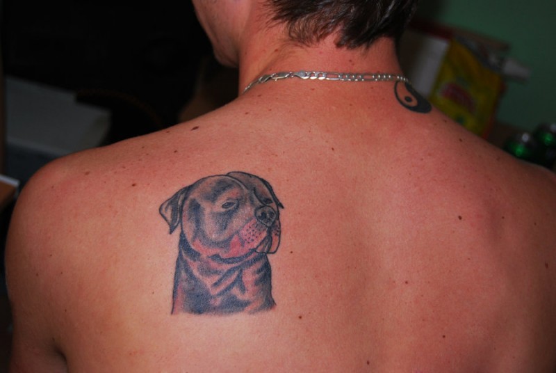背部小可爱罗威纳犬纹身图案
