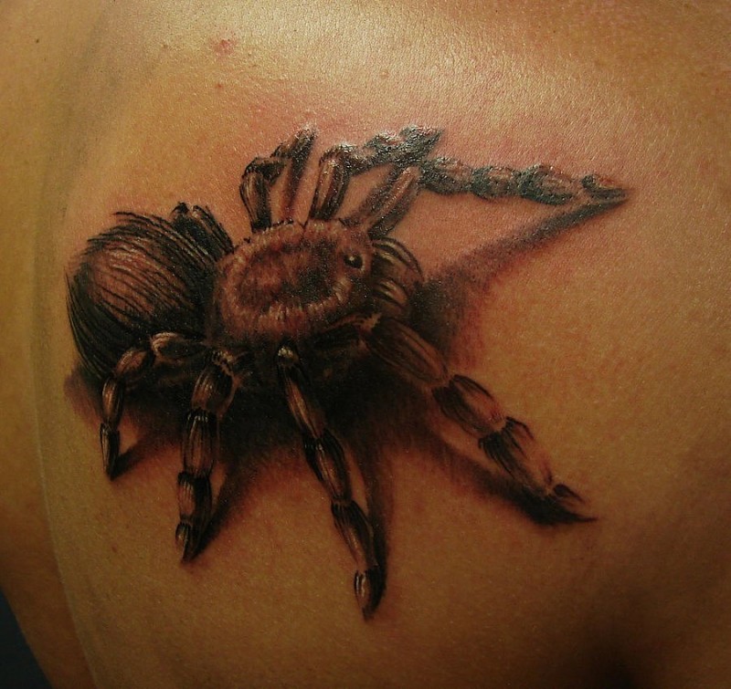 背部美丽逼真的蜘蛛纹身图案
