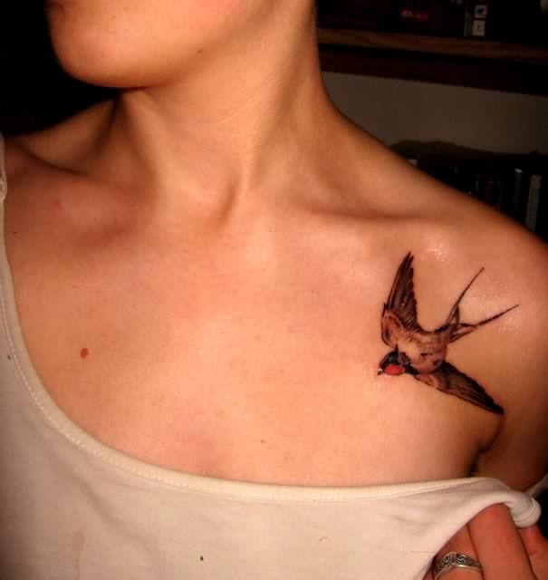 女生锁骨处写实的燕子纹身图案